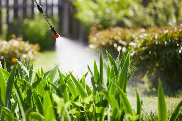 24/7 Emergency Mosquito Control experts in Cuthbert, GA