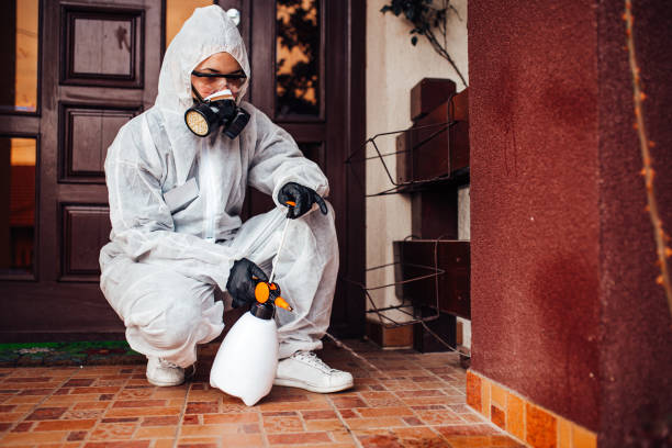 Reliable Mosquito Control contractor in Cuthbert, GA by Nex Pest Control