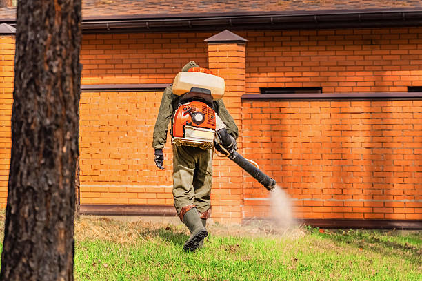 Trusted Termite Control service in Cuthbert, GA - Nex Pest Control